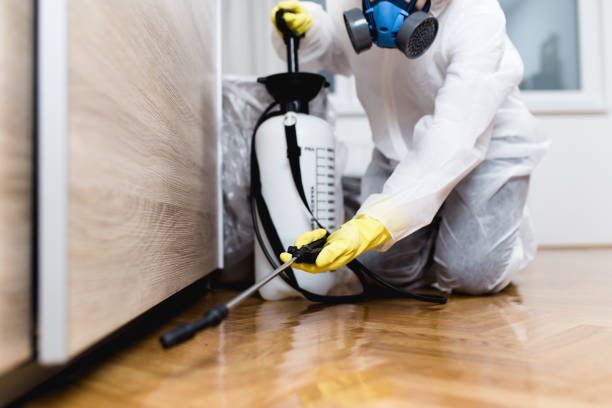 Best Mosquito Control Services  in Canadian Lakes, MI