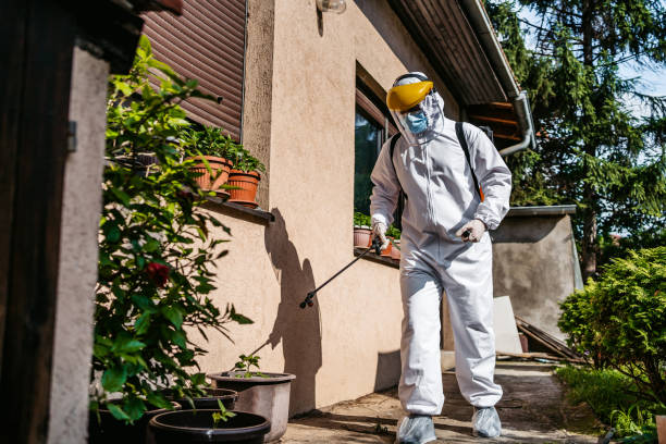 Best Flea Control Services  in Canadian Lakes, MI