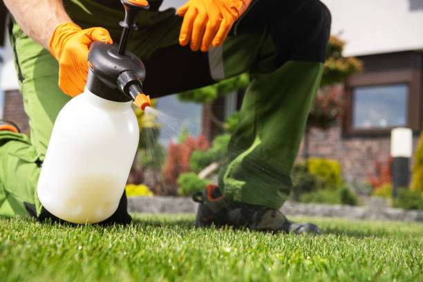 Best Bird Control  in Canadian Lakes, MI