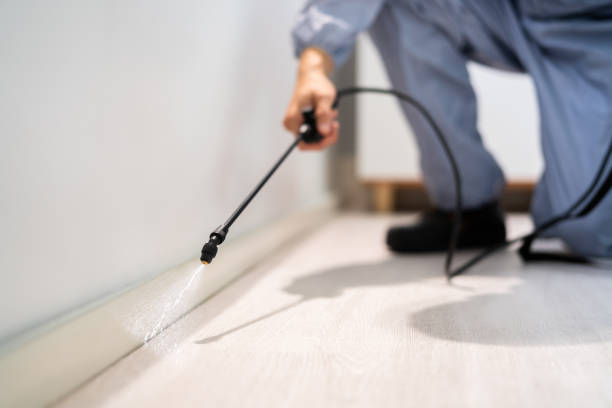 Best Pest Prevention Services  in Canadian Lakes, MI