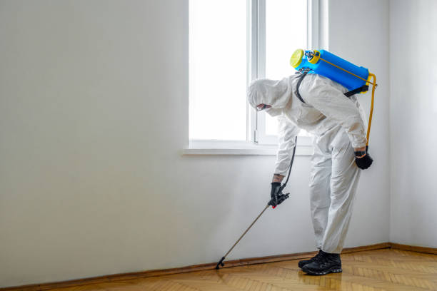 Trusted Canadian Lakes, MI Pest Control Experts
