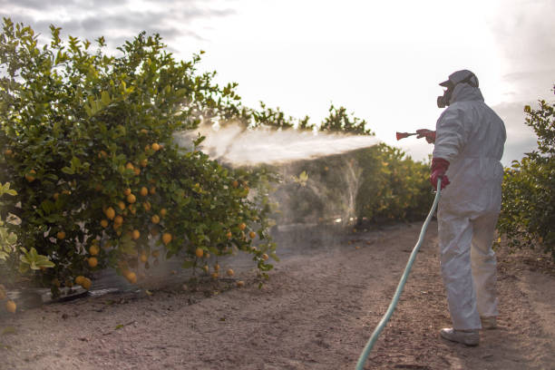 Best Residential Pest Control  in Canadian Lakes, MI