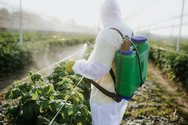 Best Mosquito Control Services  in Canadian Lakes, MI